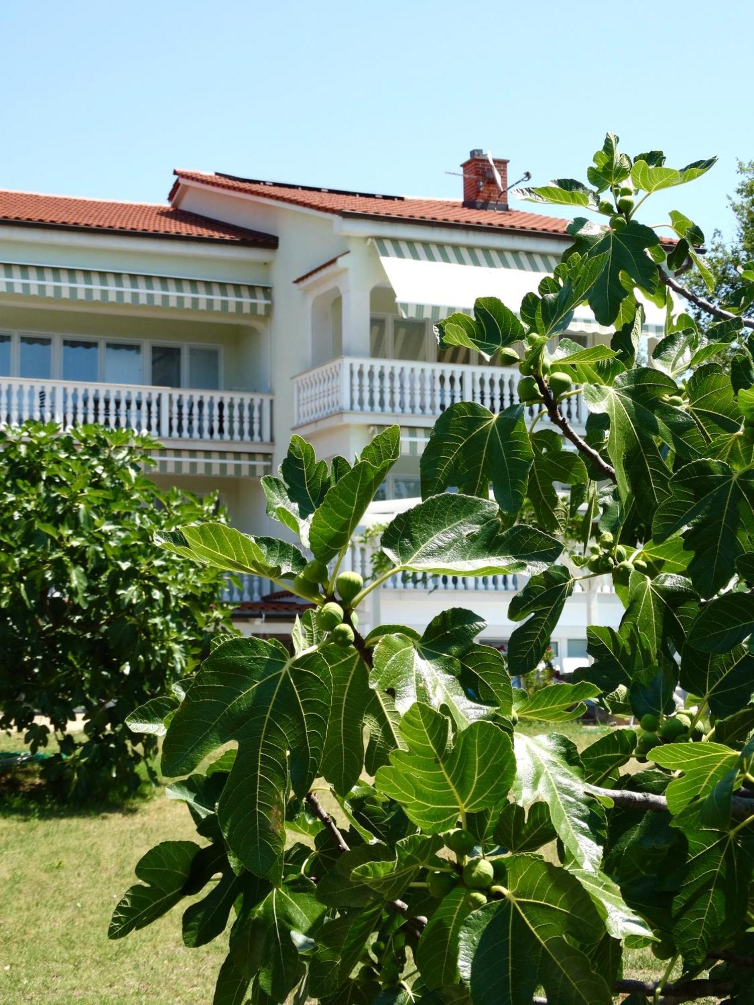 Apartments Gorancica Malinska Exterior foto